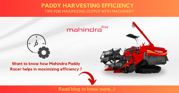 Paddy Harvesting Efficiency: Tips for Maximizing Output with Machinery